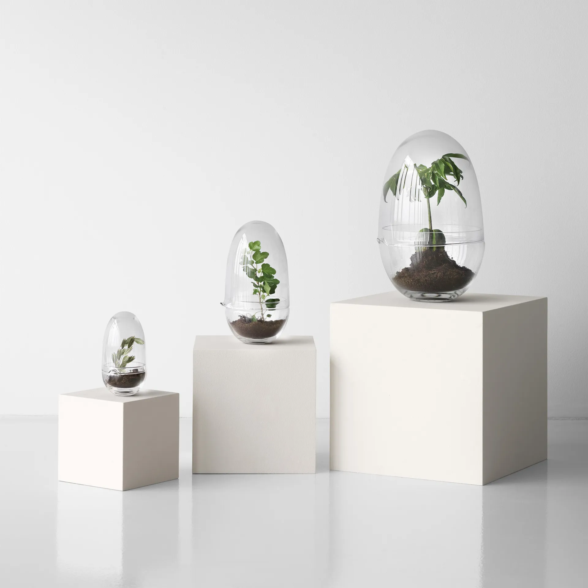 Grow-idätysastia, x-large Ø20 cm Design House Stockholm