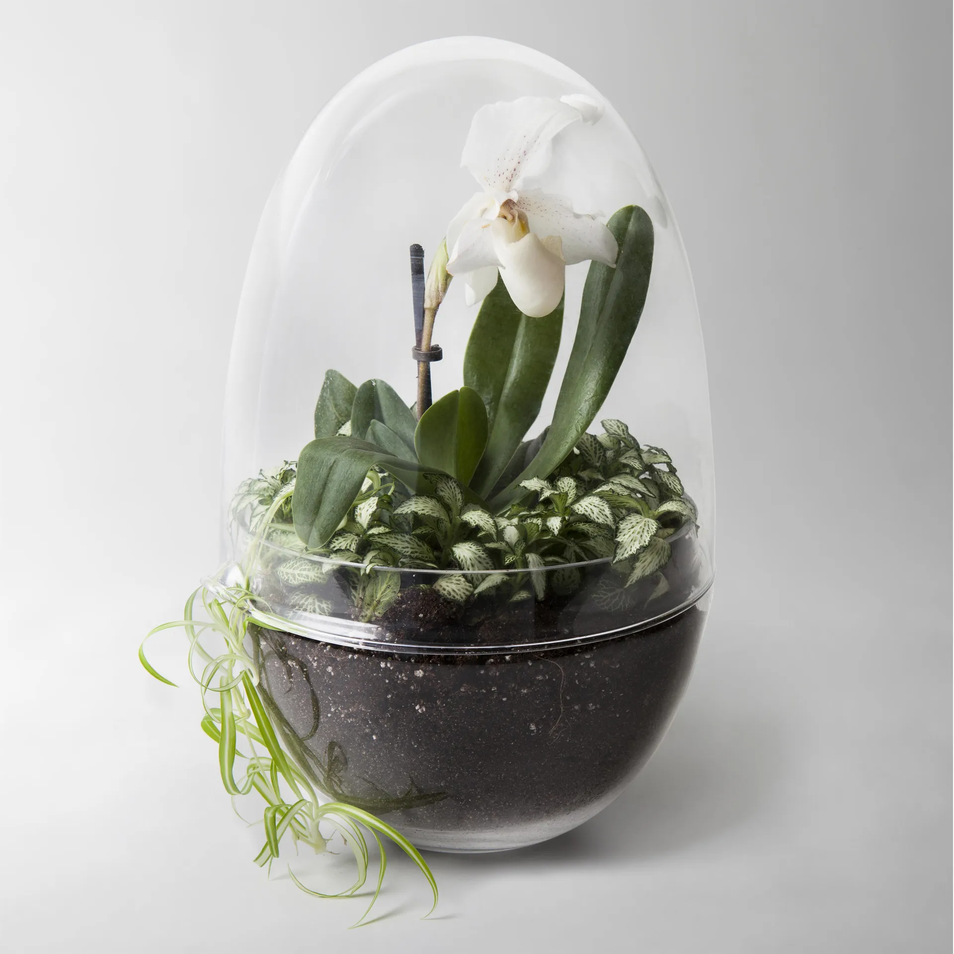 Grow-idätysastia, x-large Ø20 cm Design House Stockholm