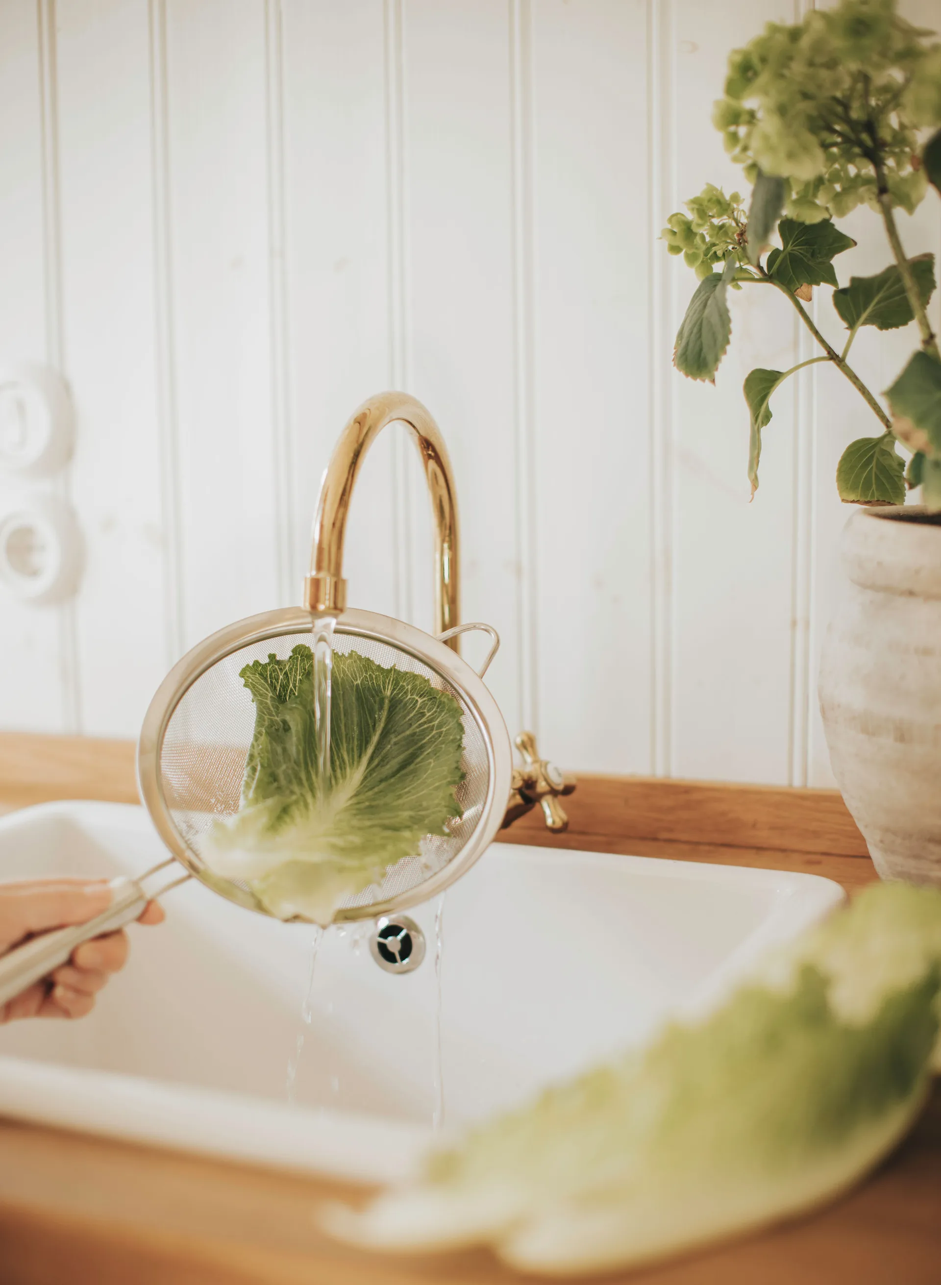 Pia siivilä Ø 20 cm, Ruostumaton teräs Dorre