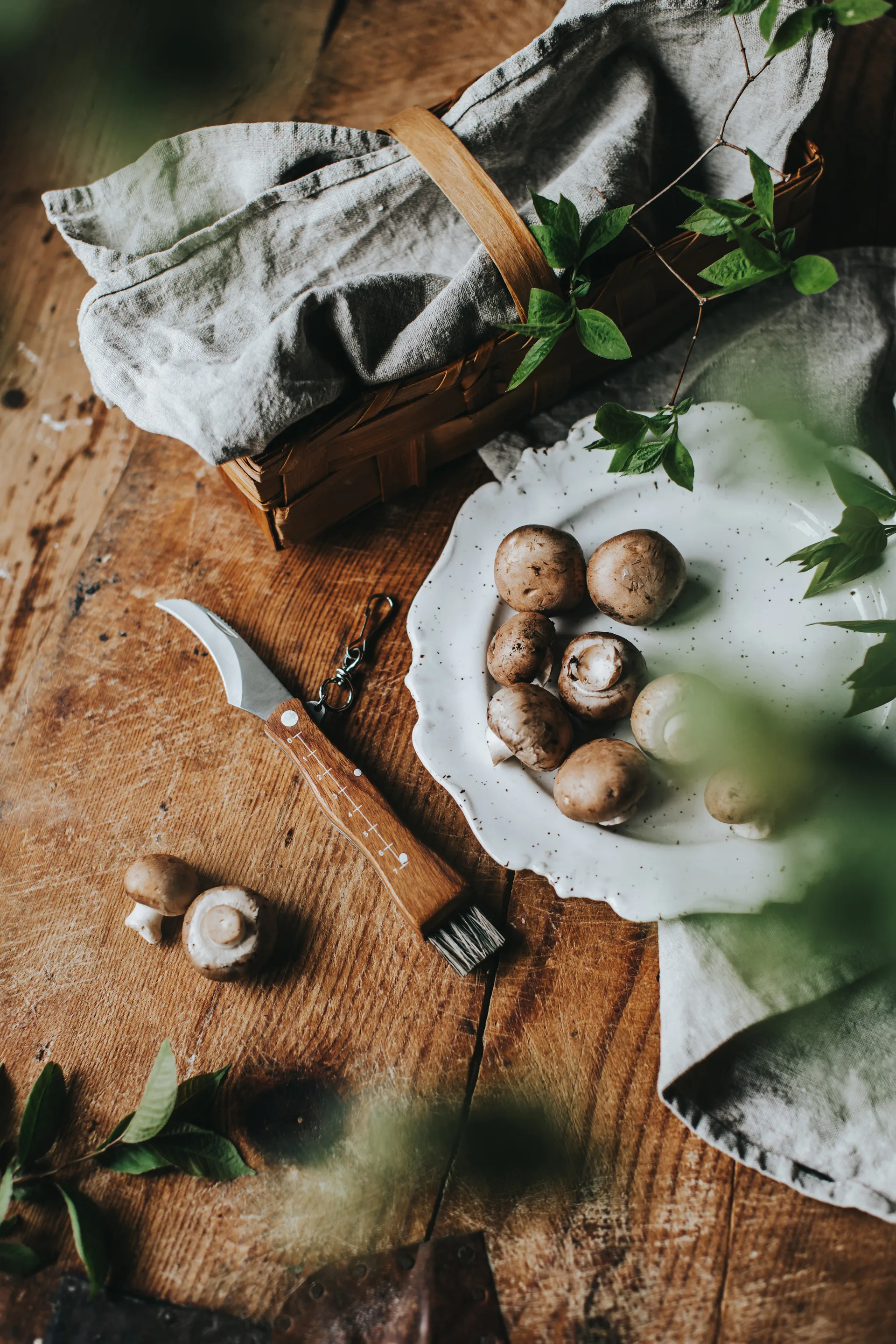 Stuti sieniveitsi ruskea puukahva harjalla 13x2 cm, Ruostumaton teräs Dorre