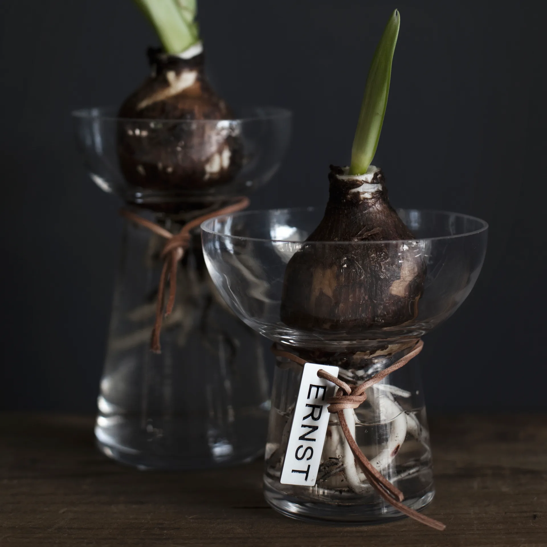 Ernst hyasinttimaljakko 11 cm, Kirkas ERNST