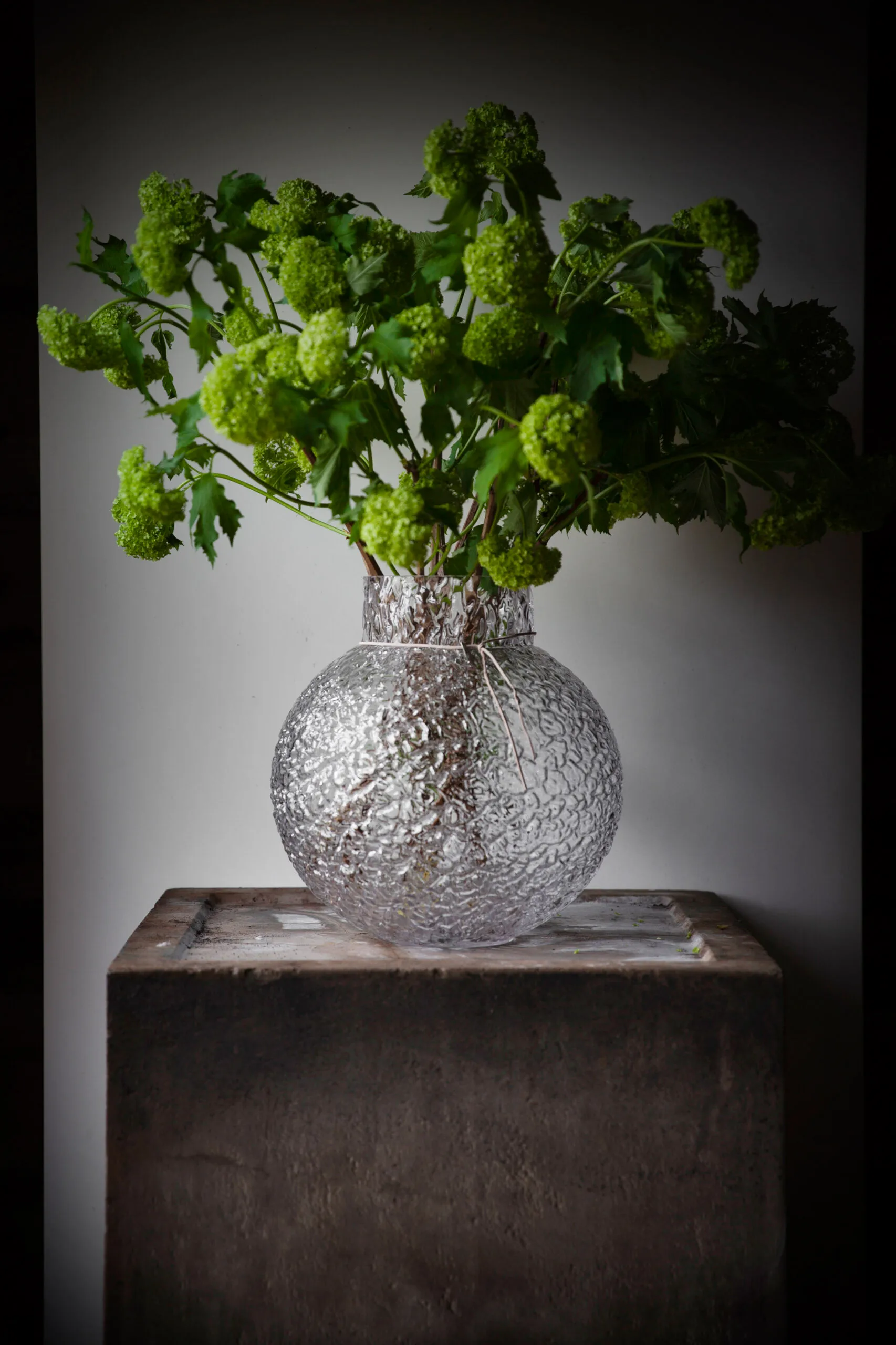 Ernst lasimaljakko struktuuripinta kirkas, Ø 29 cm ERNST