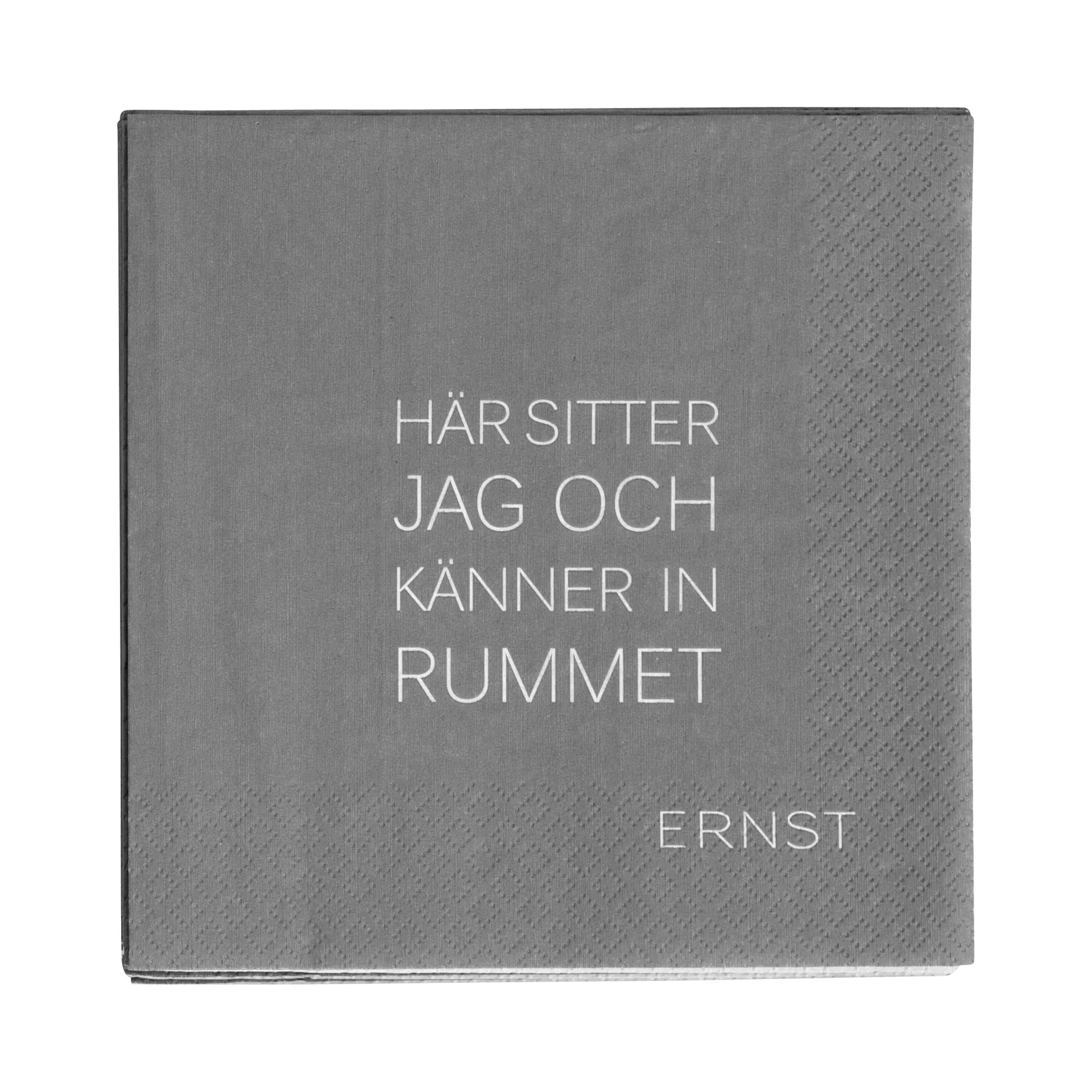 Ernst lautasliina lainauksella Tid-Rum 20-pakkaus, Harmaa ERNST