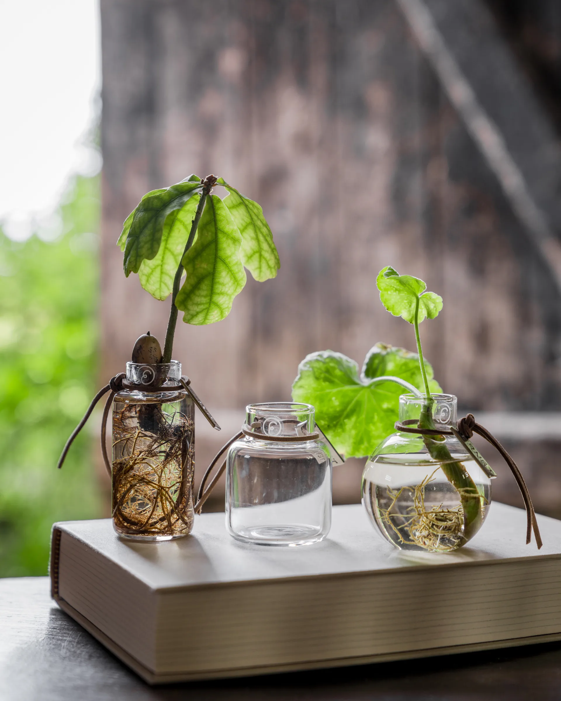 Ernst maljakko lahjapakkaus 3 osaa, Kirkas ERNST