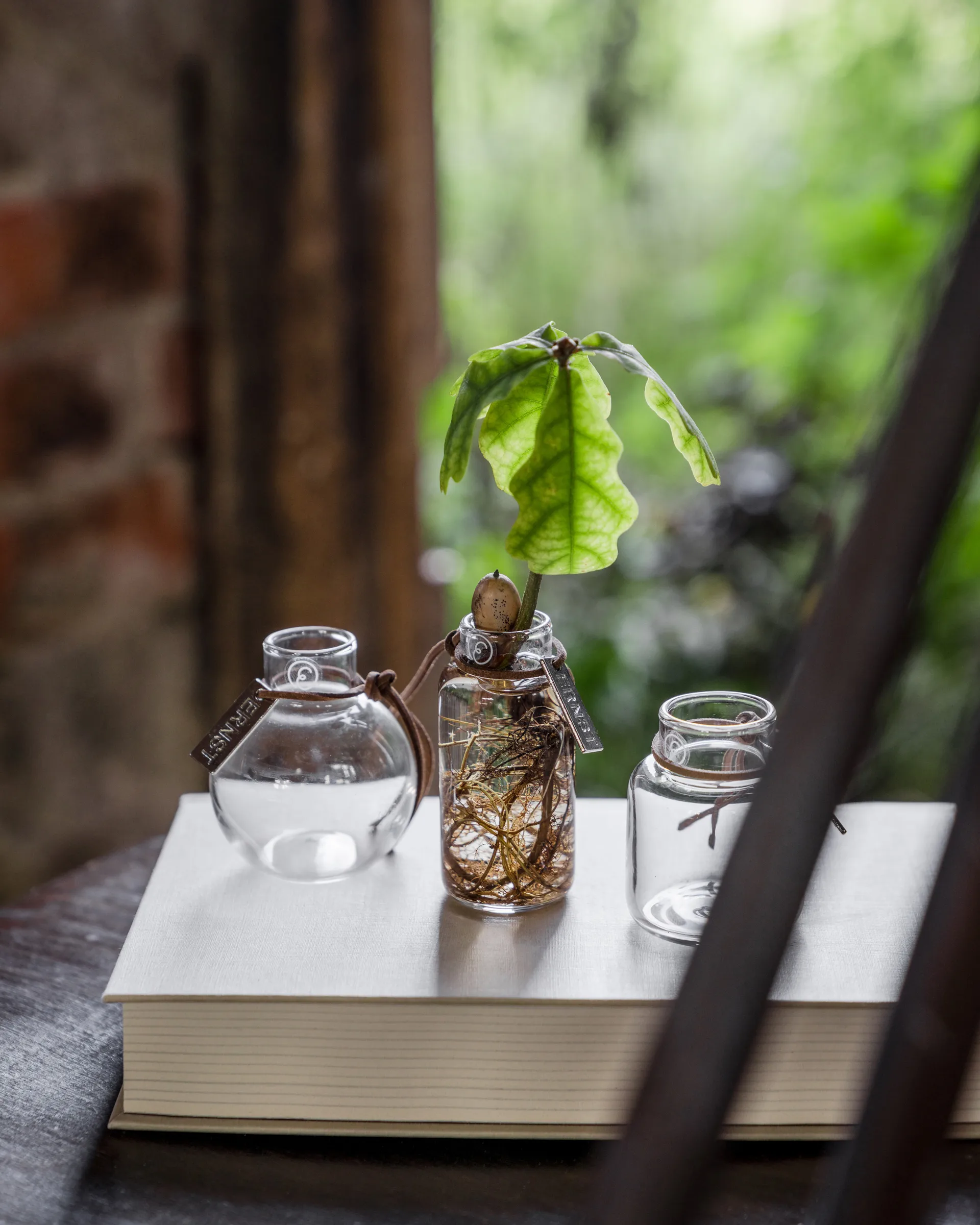 Ernst maljakko lahjapakkaus 3 osaa, Kirkas ERNST