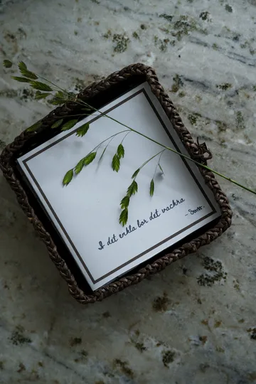 Ernst servetti sitaatilla I det enkla 20-pakkaus - vaaleanharmaa - ERNST