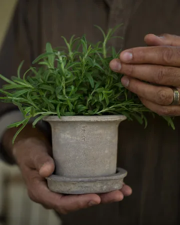 Ernst terrakottaruukku aluslautasella - Ø12×10 cm - ERNST