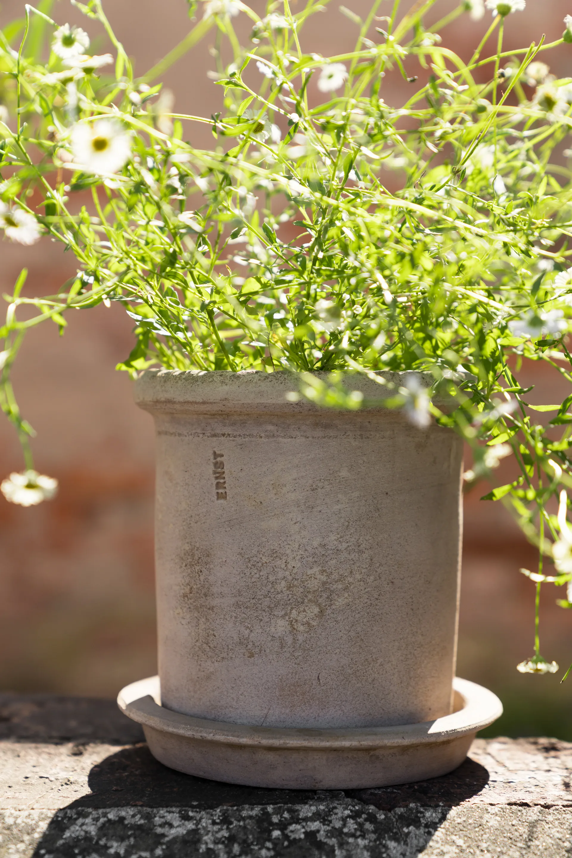 Ernst terrakottaruukku aluslautasella, Ø16×16 cm ERNST