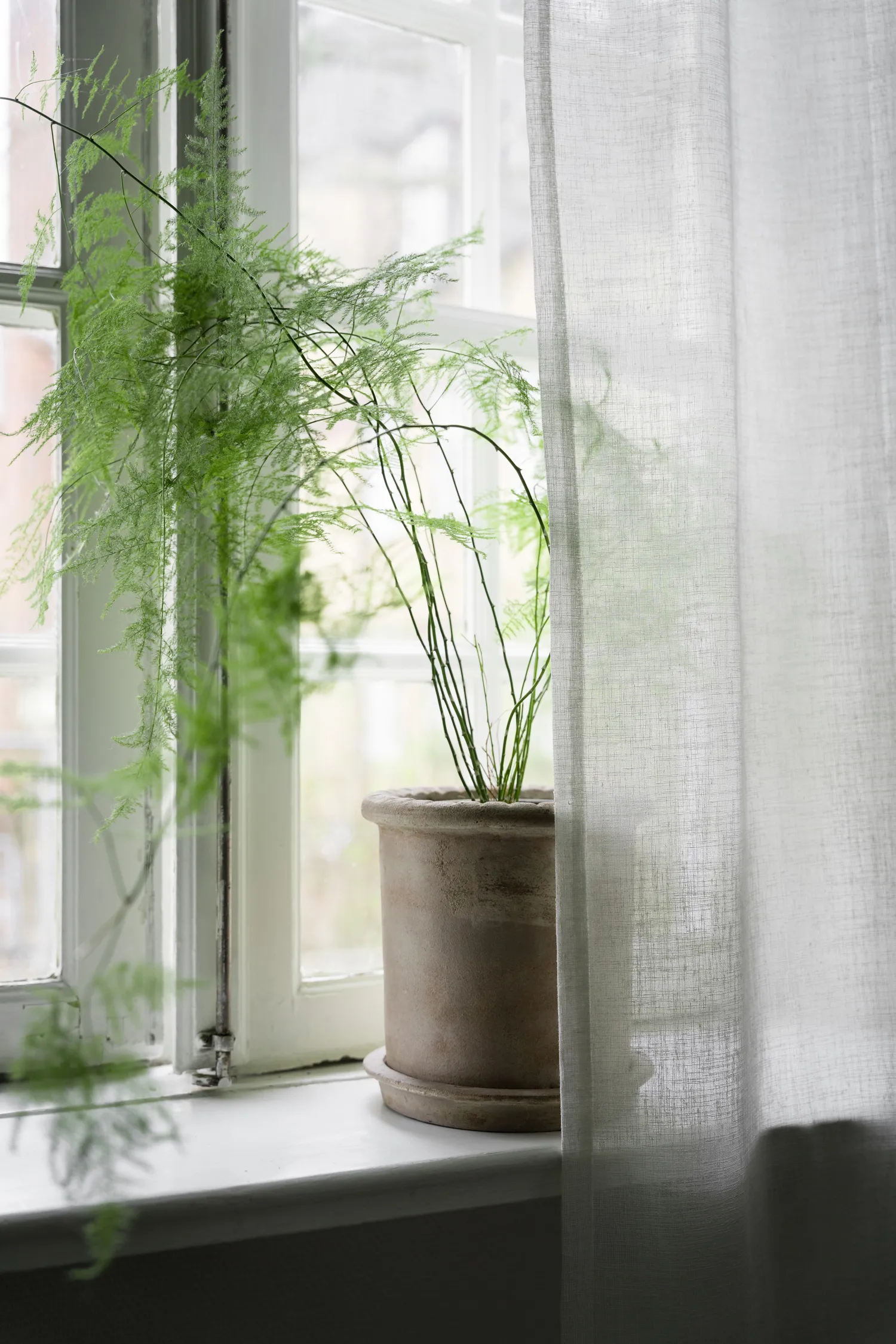 Ernst terrakottaruukku aluslautasella, Ø25×28 cm ERNST