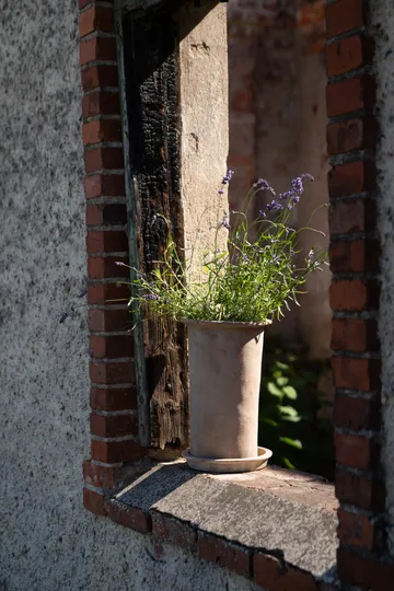 Ernst terrakottaruukku aluslautasella - Ø25×35 cm - ERNST