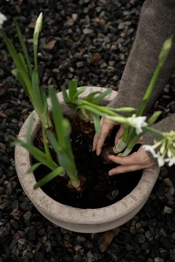 Ernst terrakottaruukku aluslautasella - Ø33×12 cm - ERNST