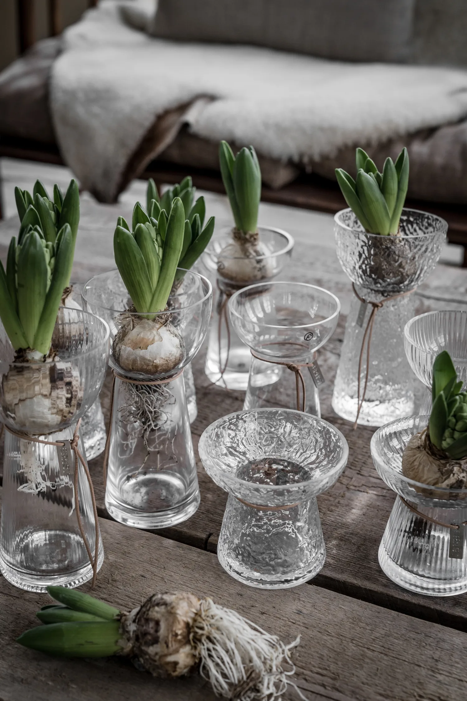 Ernst uurrettu sipulimaljakko, 19 cm ERNST