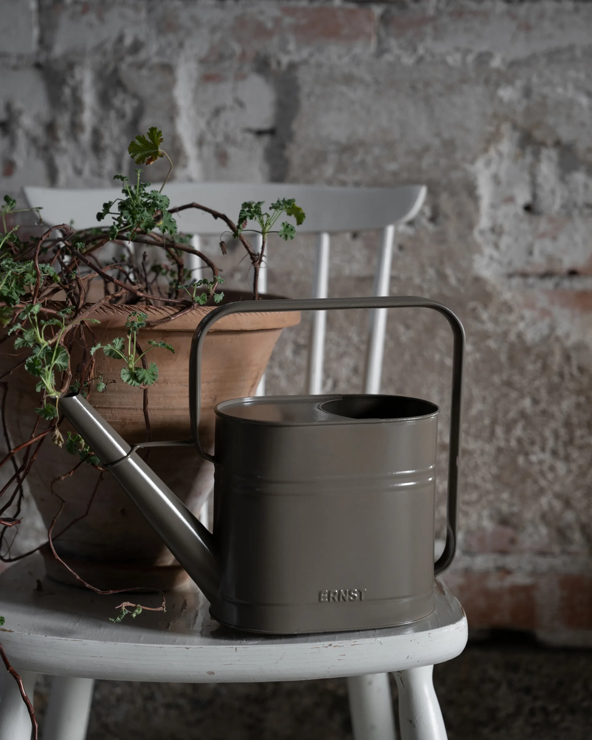 Ernst vesikannu, Mäyrä, 3 L ERNST