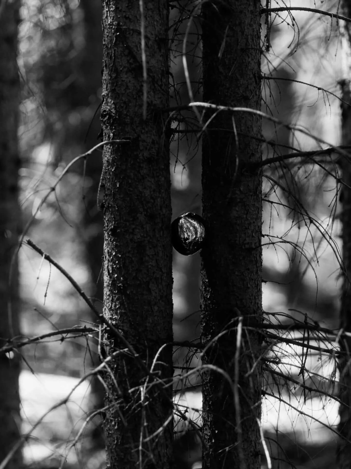 Bellure joulukoriste 7 cm 2 osaa, Hopea Ferm Living