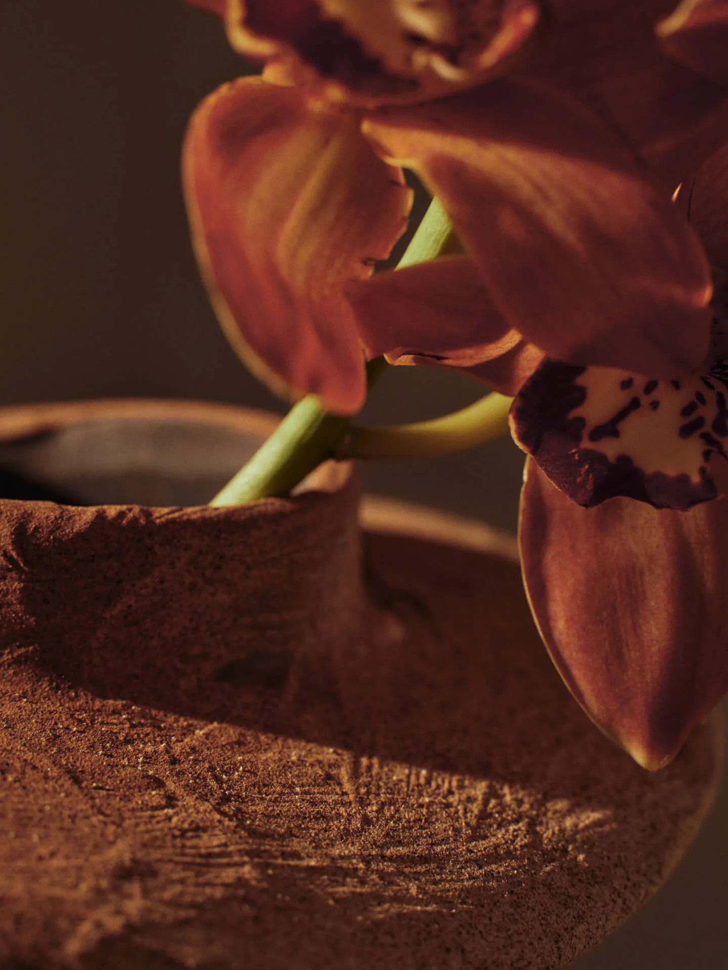 Evio maljakko, Poltettu umbra, Ø25x22 cm Ferm Living