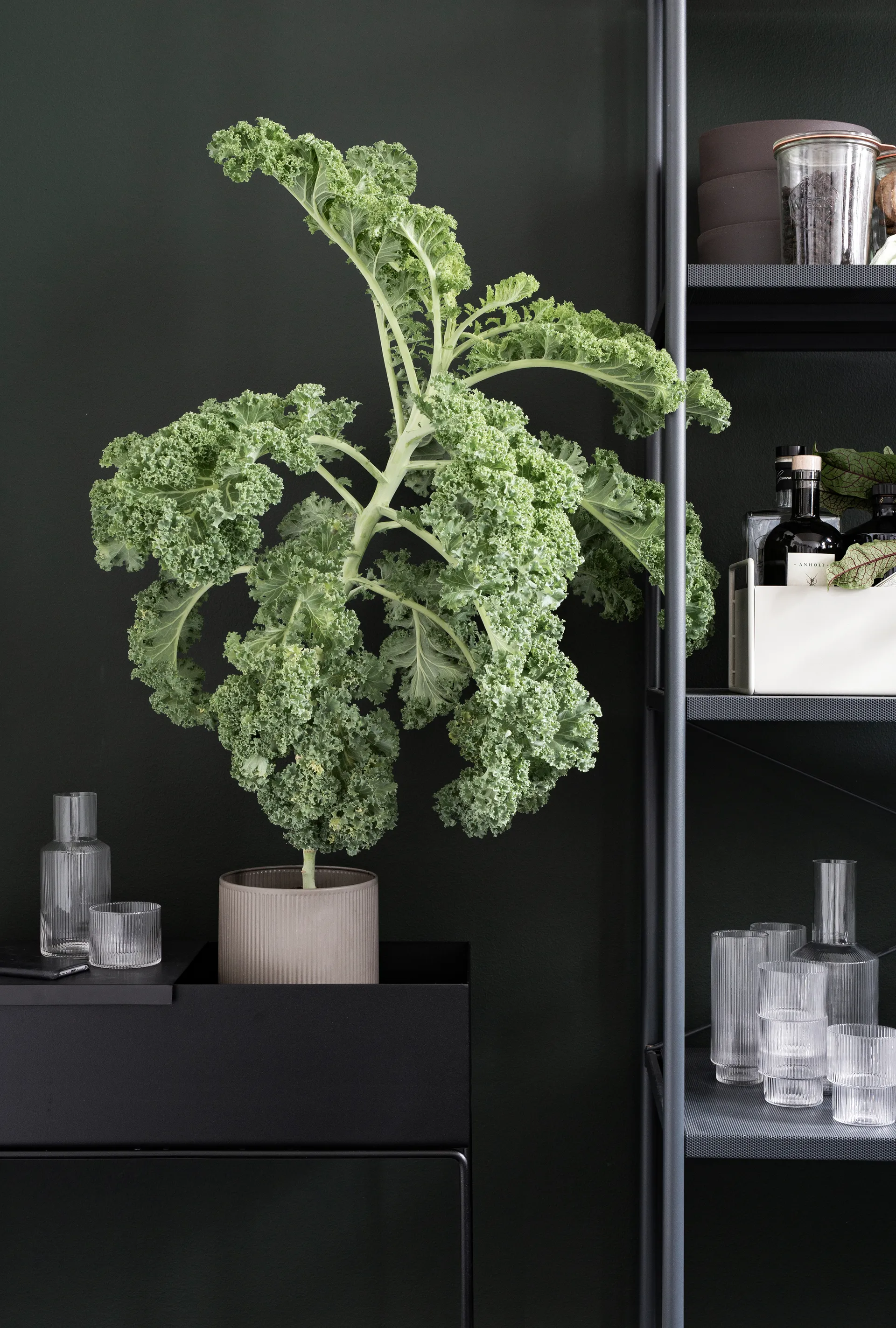 ferm LIVING istutuslaatikko Plant box, musta Ferm Living