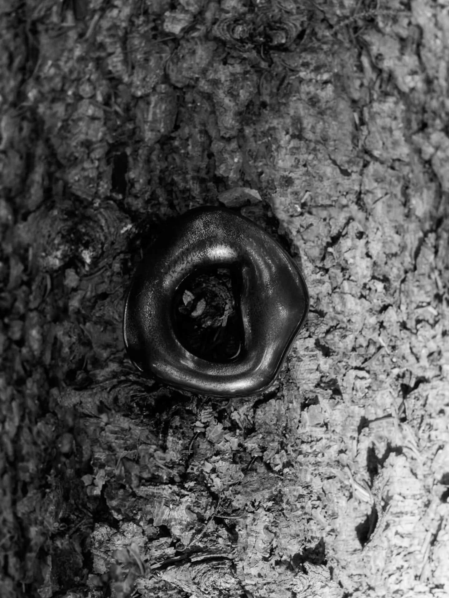 Orrith koriste-riipus 2 osaa, Rustic Pronssi Ferm Living