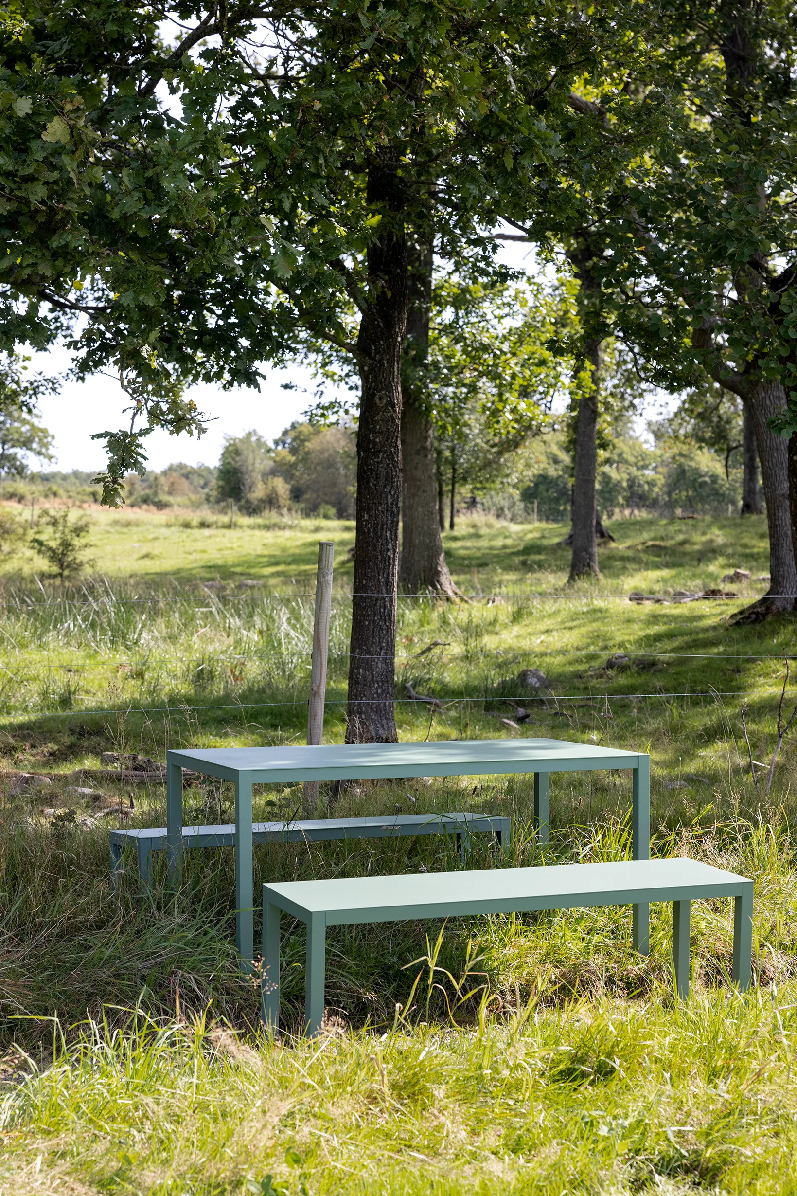 Aria penkki, Sage green Fiam