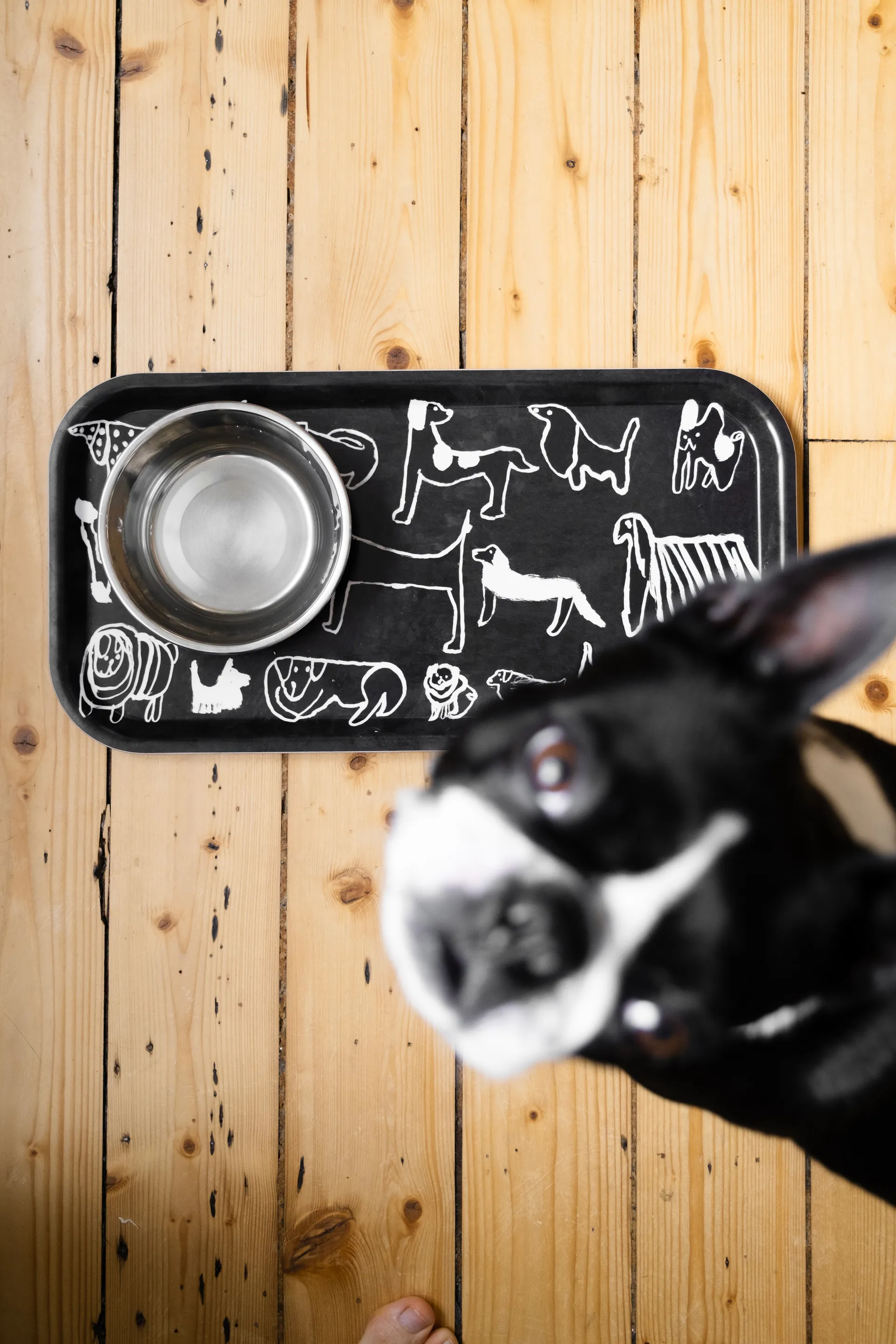 Dogs tarjotin 22x43 cm, Musta valkoinen Fine Little Day