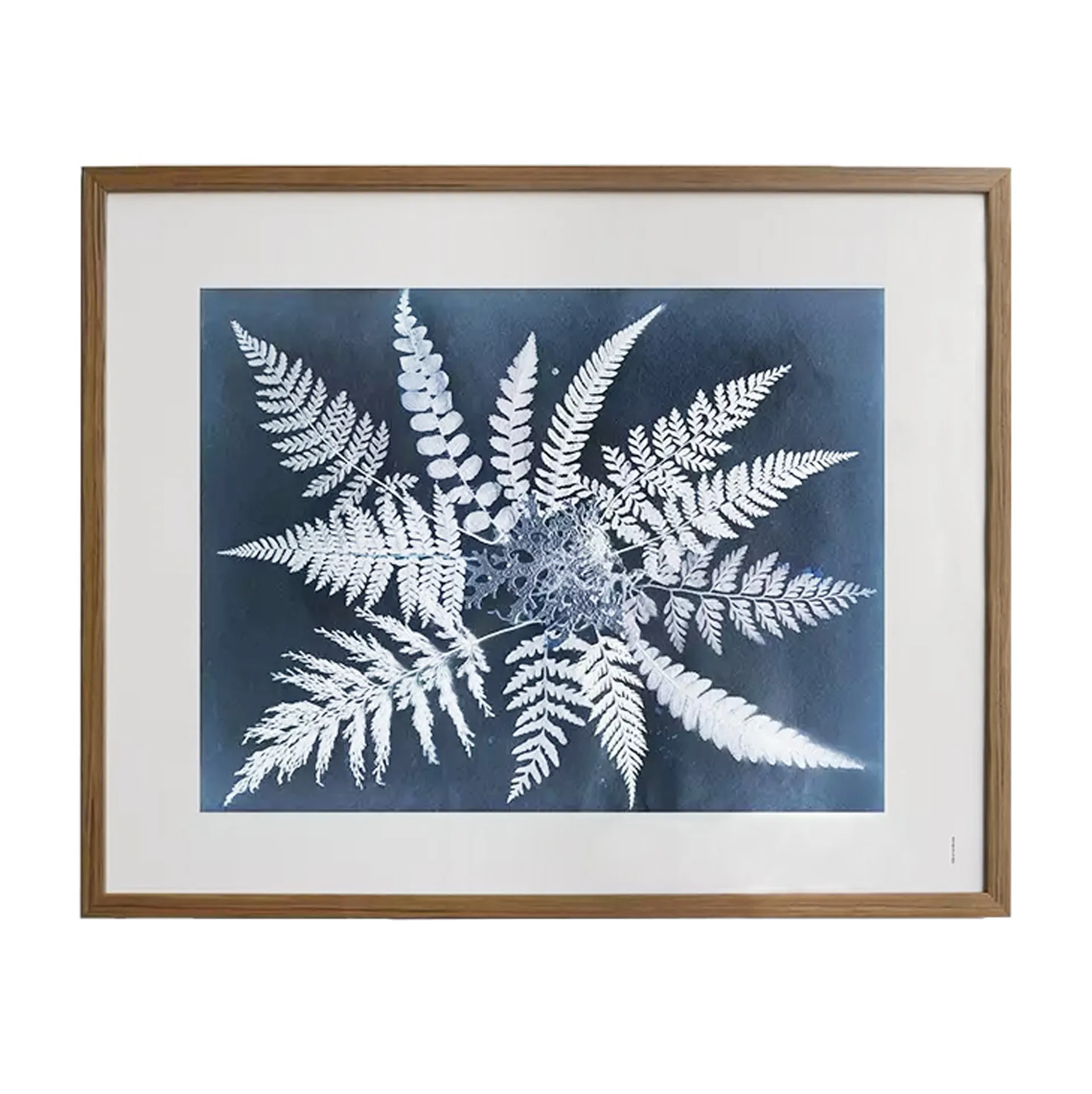 Fern star -juliste, 40 x 50 cm Fine Little Day
