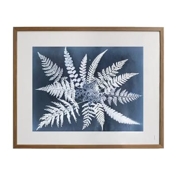 Fern star -juliste - 40 x 50 cm - Fine Little Day