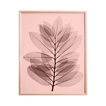 Metrosideros excelsea -juliste - 40 x 50 cm - Fine Little Day