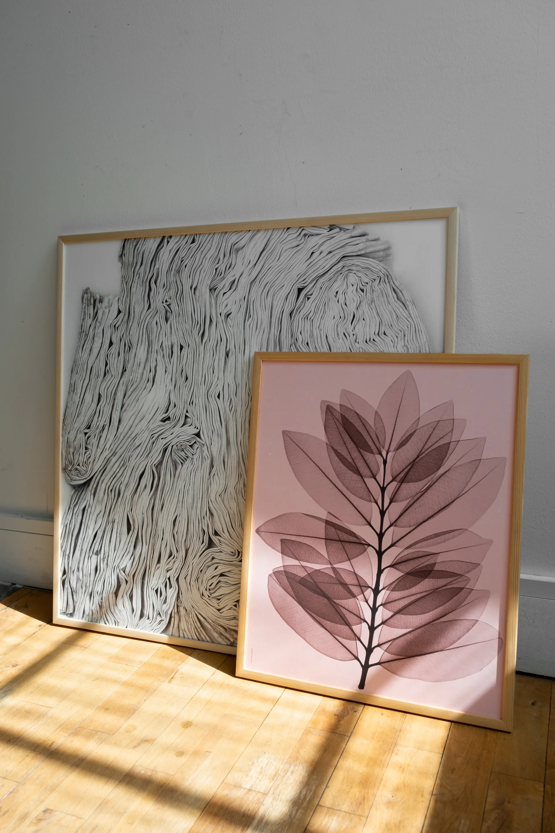 Metrosideros excelsea -juliste, 40 x 50 cm Fine Little Day