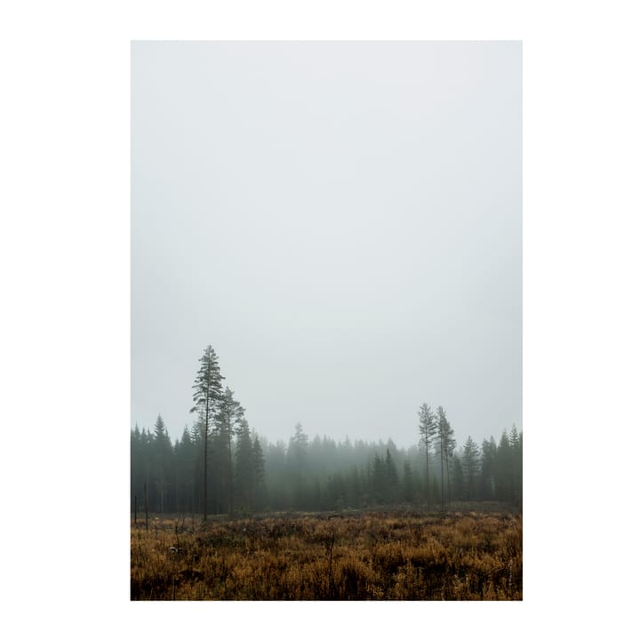 Skog-juliste - 70 x 100 cm - Fine Little Day