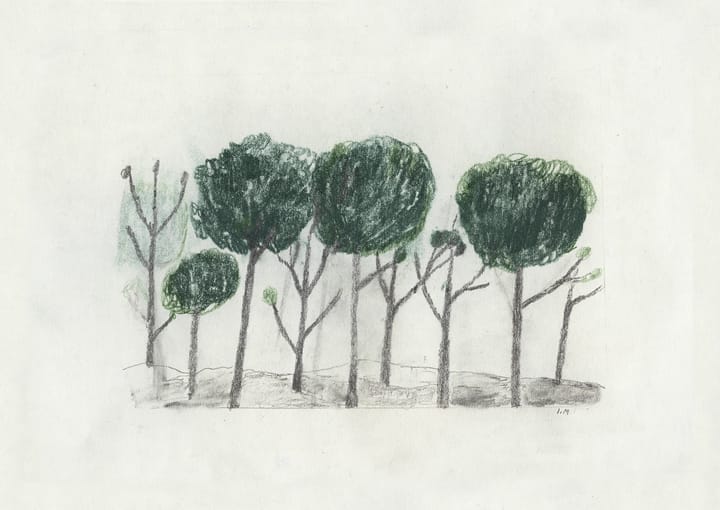 Trees juliste 50x70 cm - Musta- off white - Fine Little Day
