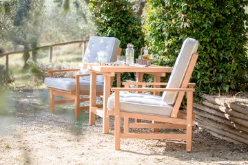 05 nojatuoli - Redwood - Fri Form