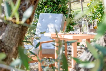 05 nojatuoli - Redwood - Fri Form