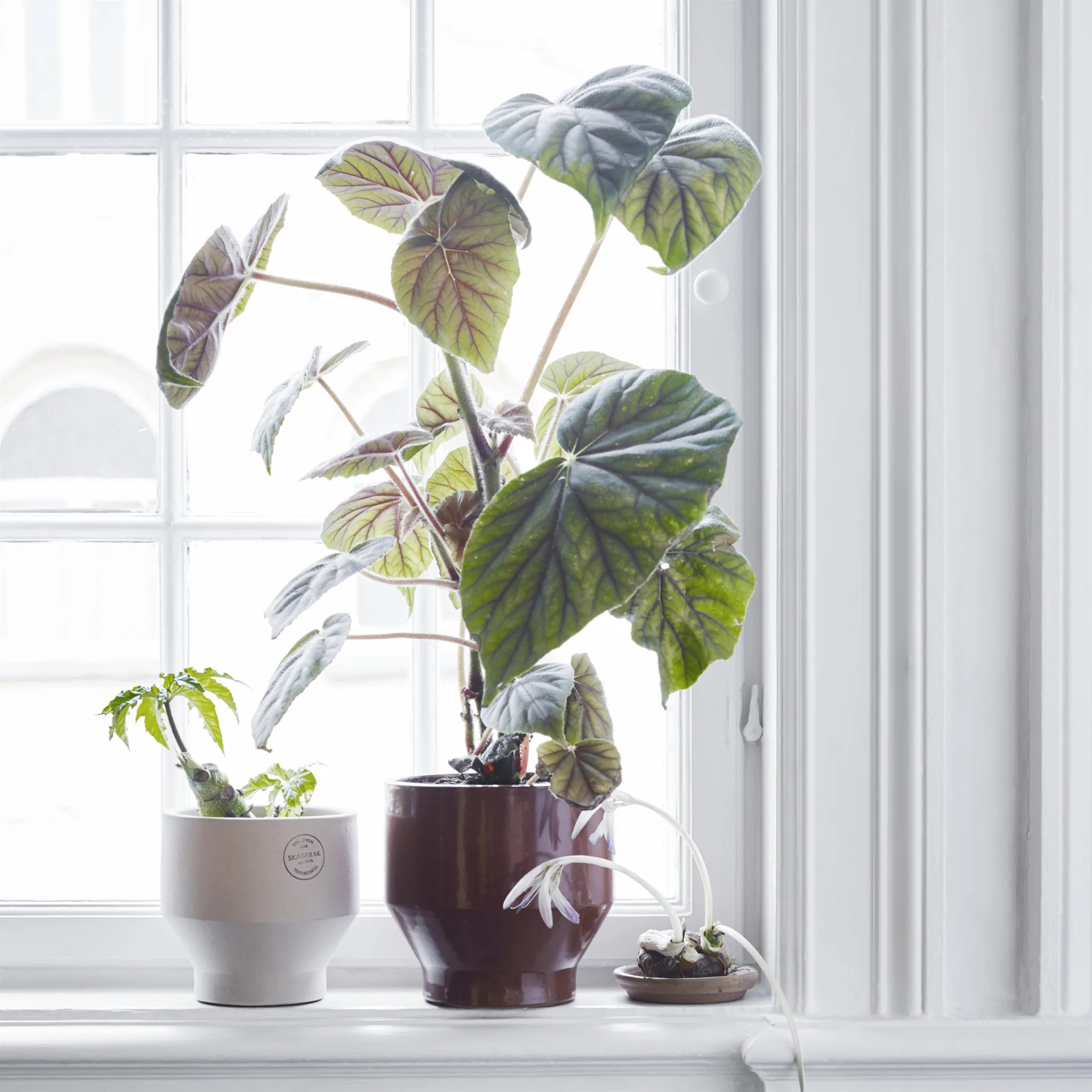 Edge ruukku (sisäkäyttöön) Ø18 cm, burned red Fritz Hansen