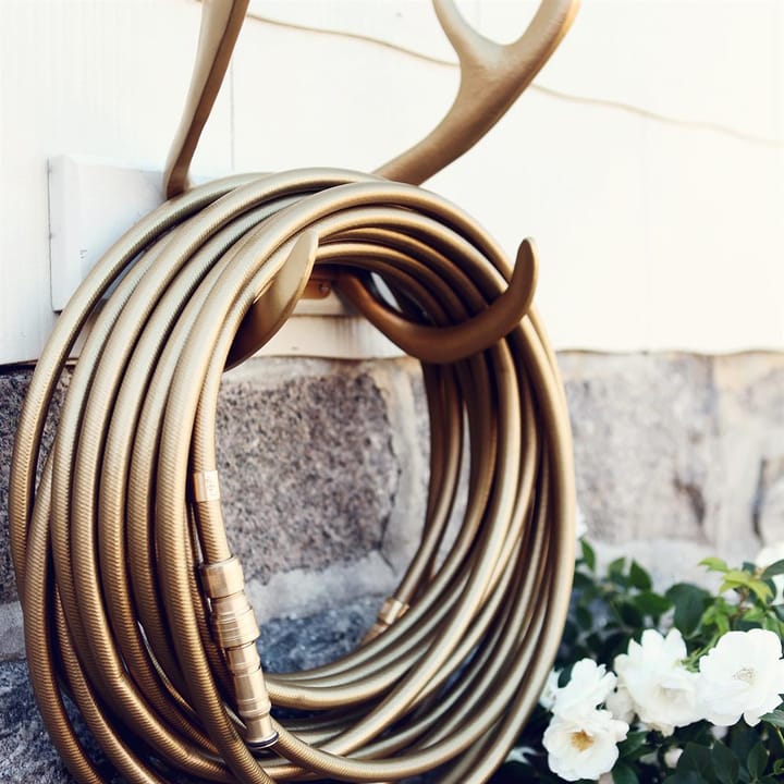 Garden Glory puutarhaletku, Gold digger Garden Glory