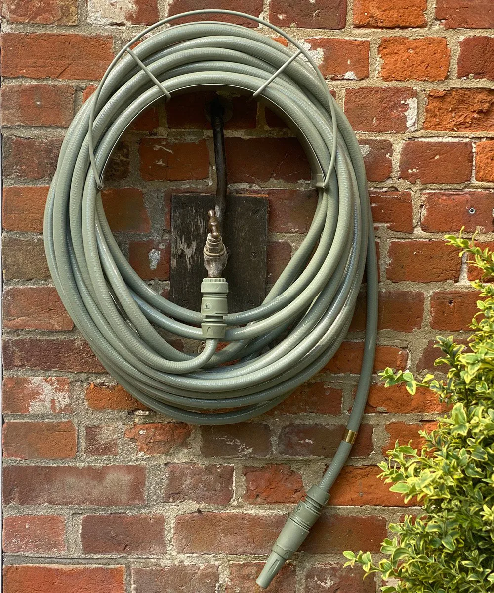 Garden Glory seinäpidike classic, Eucalyptus leaf Garden Glory