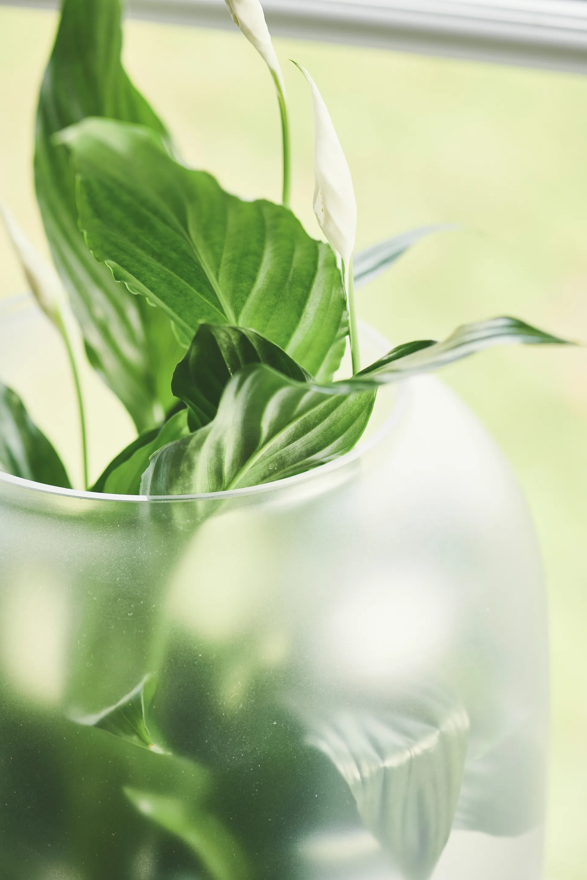 Nebl ruukku huurrutetulla lasilla Ø 26 cm, Musta Gejst