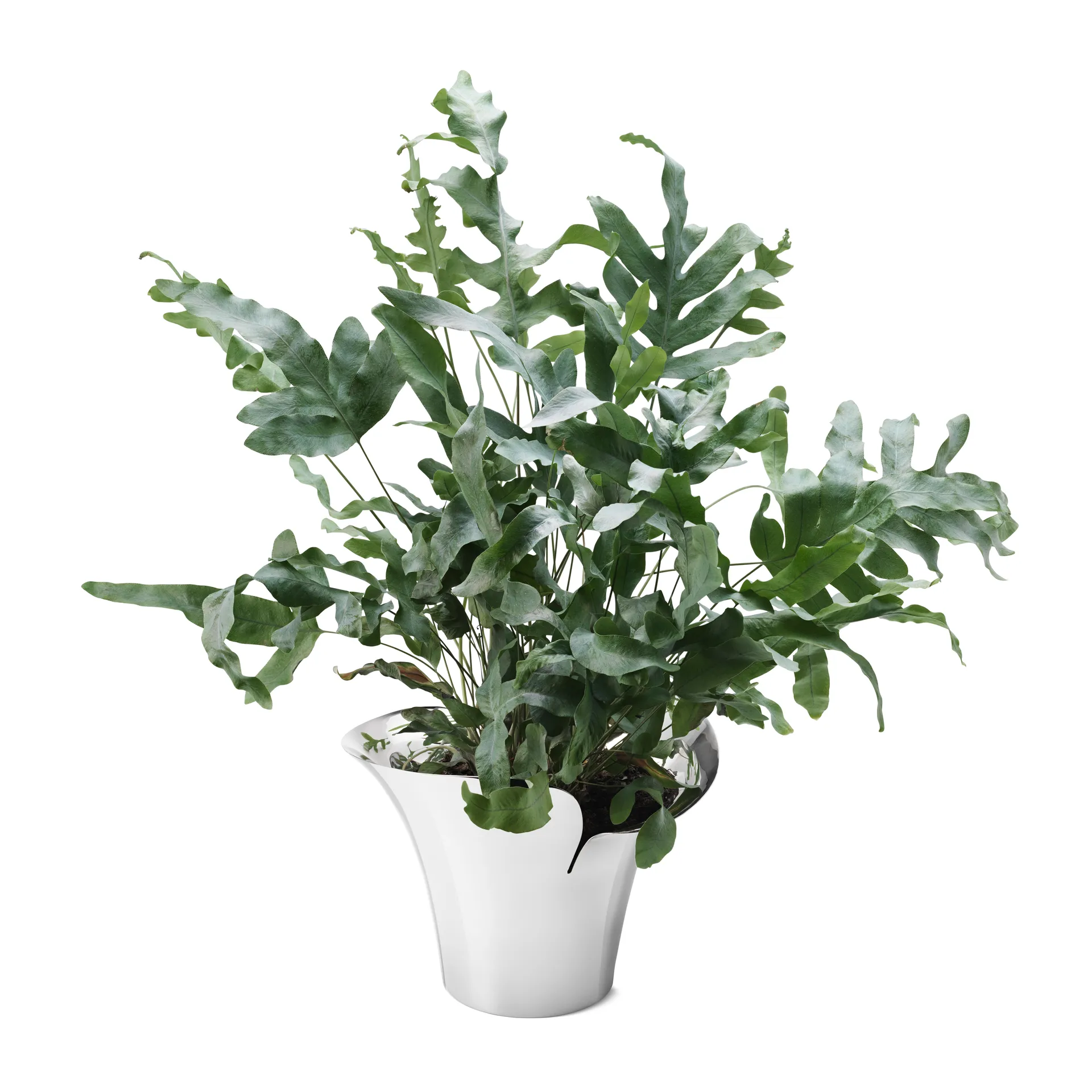 Bloom Botanica ruukku, Ø 19 cm Georg Jensen