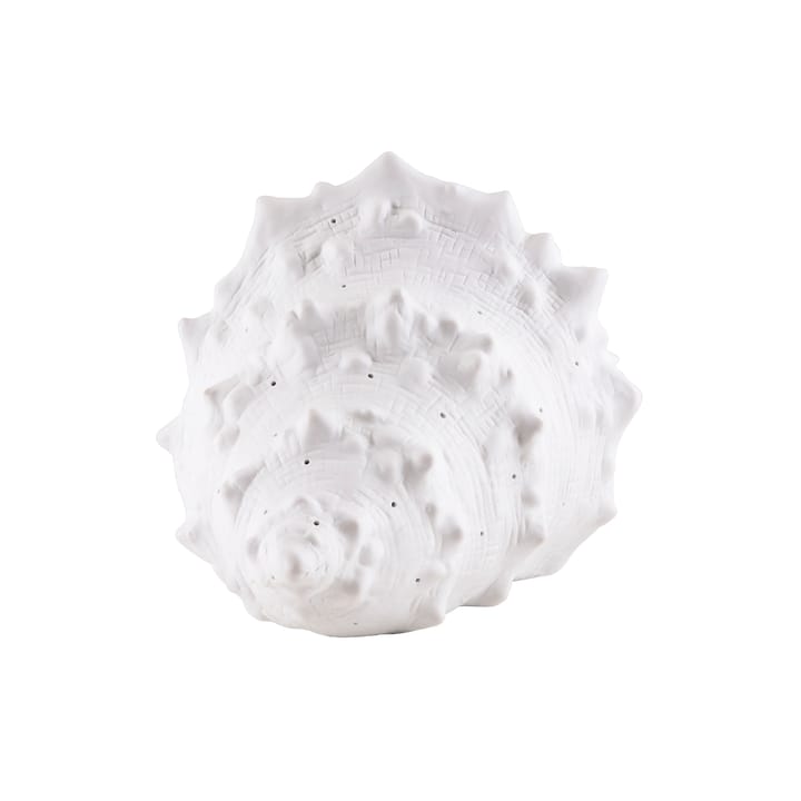 Seashell pöytävalaisin - Valkoinen - Globen Lighting