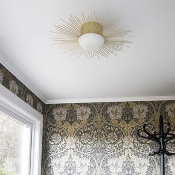 Soleil plafondi/seinävalaisin Ø 56 cm - Harjattu messinki - Globen Lighting