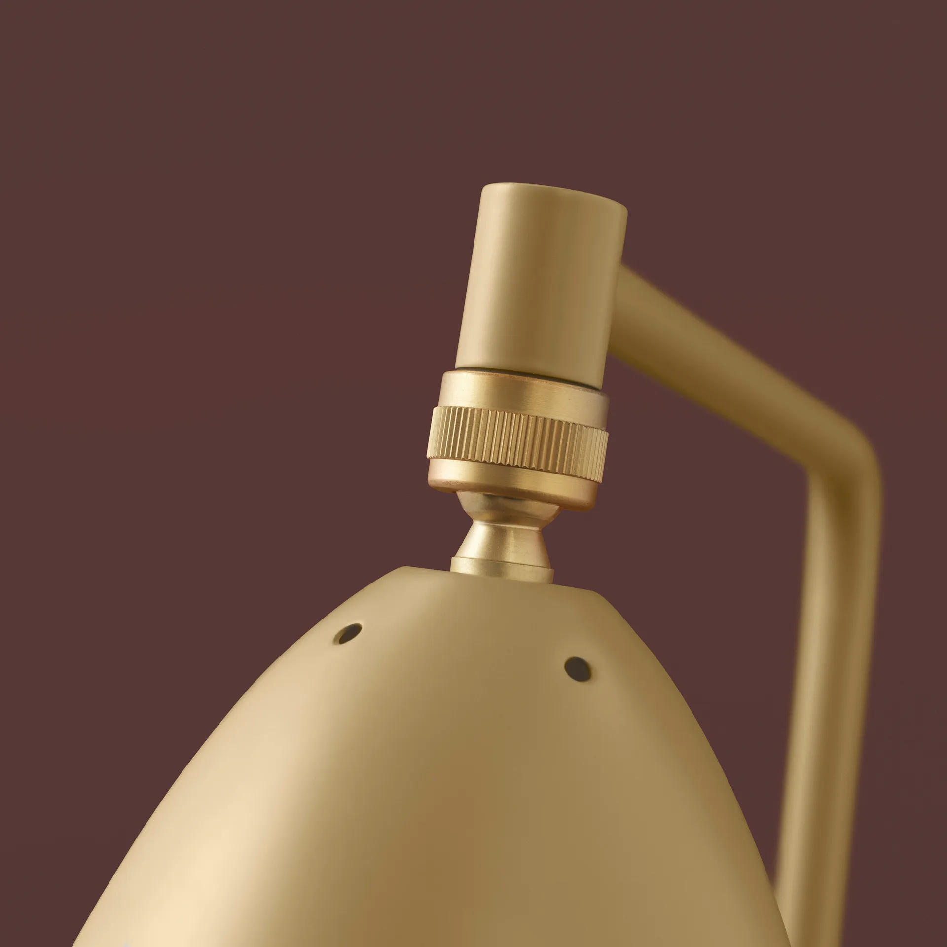 Gräshoppa lattiavalaisin, Oliivinruskea GUBI