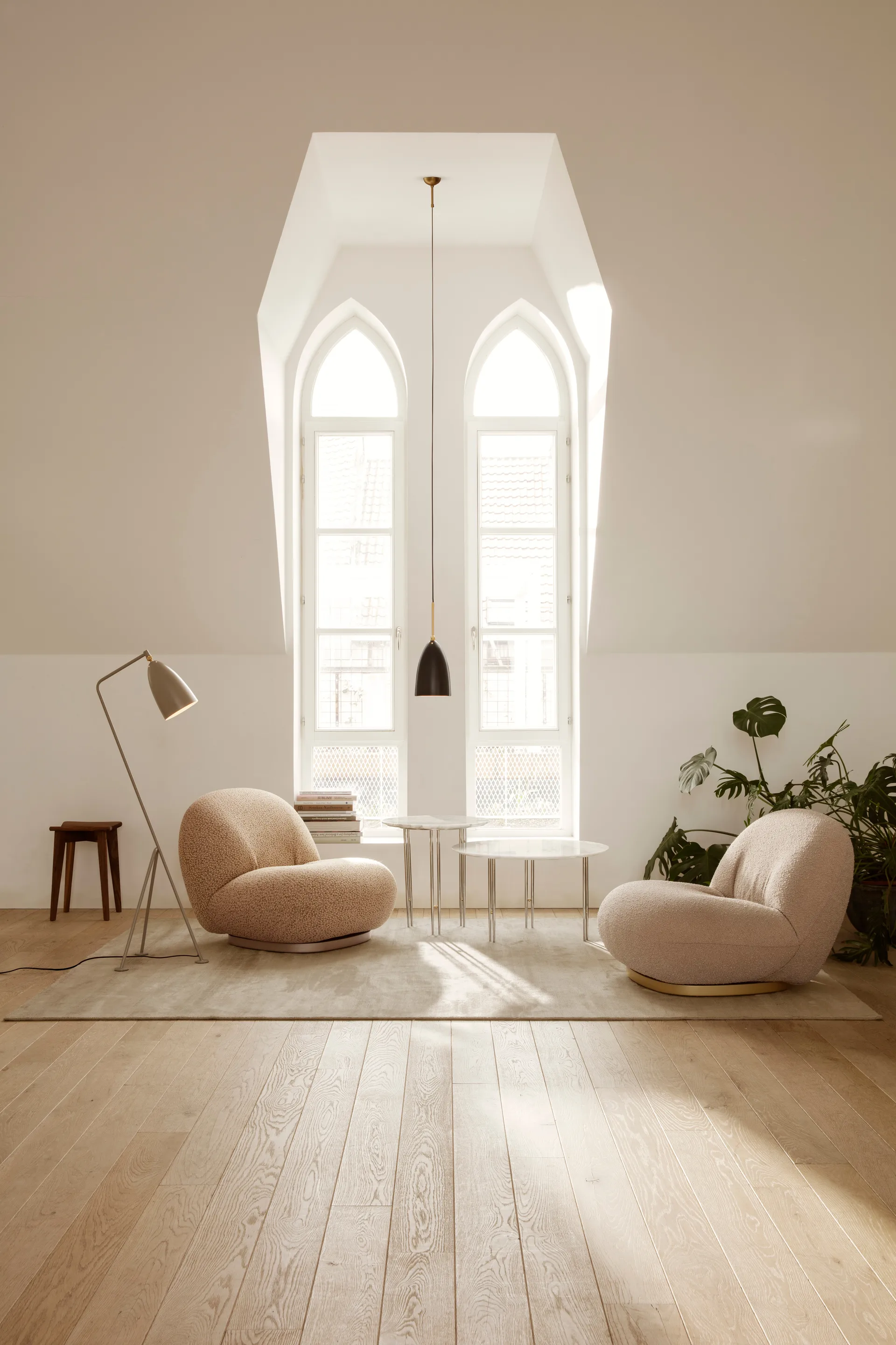 Gräshoppa lattiavalaisin, Oliivinruskea GUBI