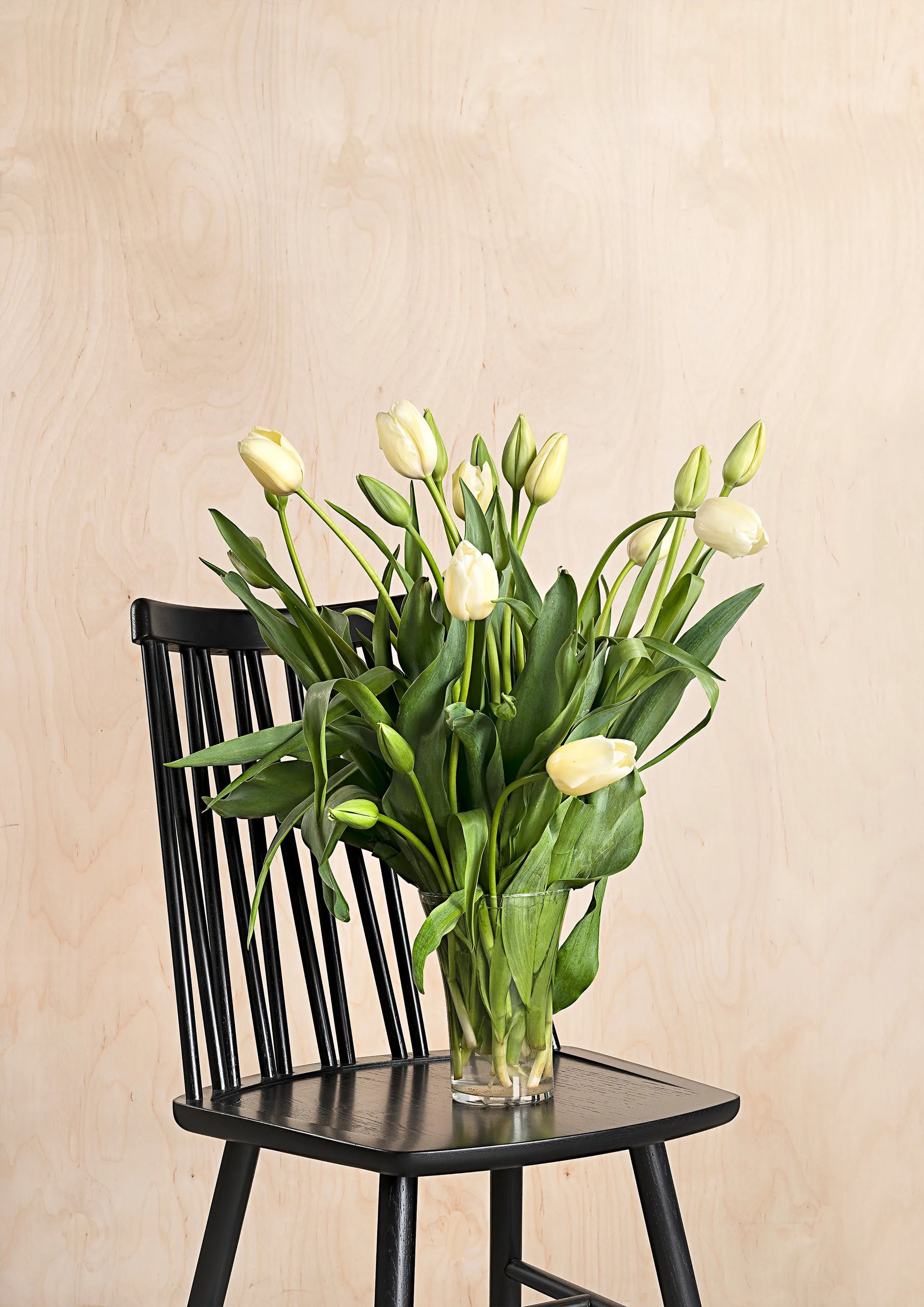 ZigZag Tuoli, Saarni musta petsi Hans K