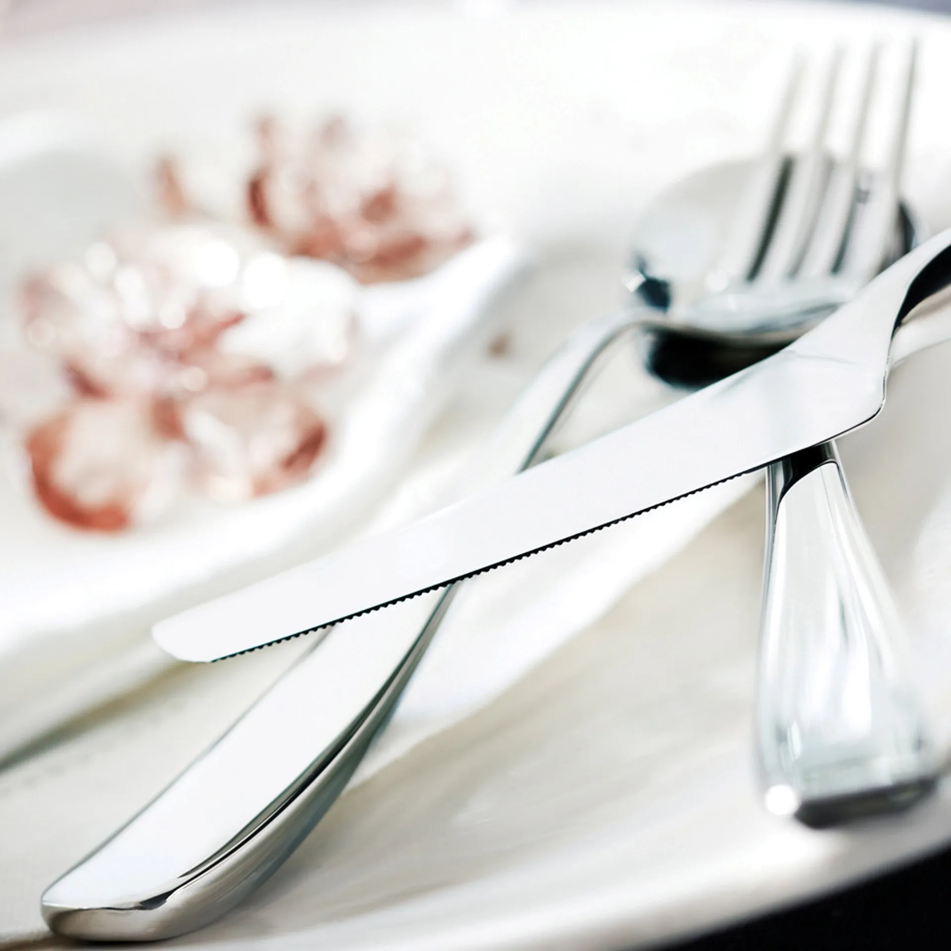 Tuva aterimet 24 osaa, ruostumaton teräs Hardanger Bestikk