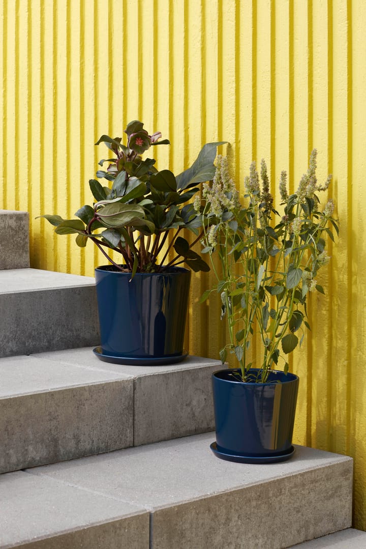 Botanical Family -ruukku L Ø 18 cm, Dark blue HAY