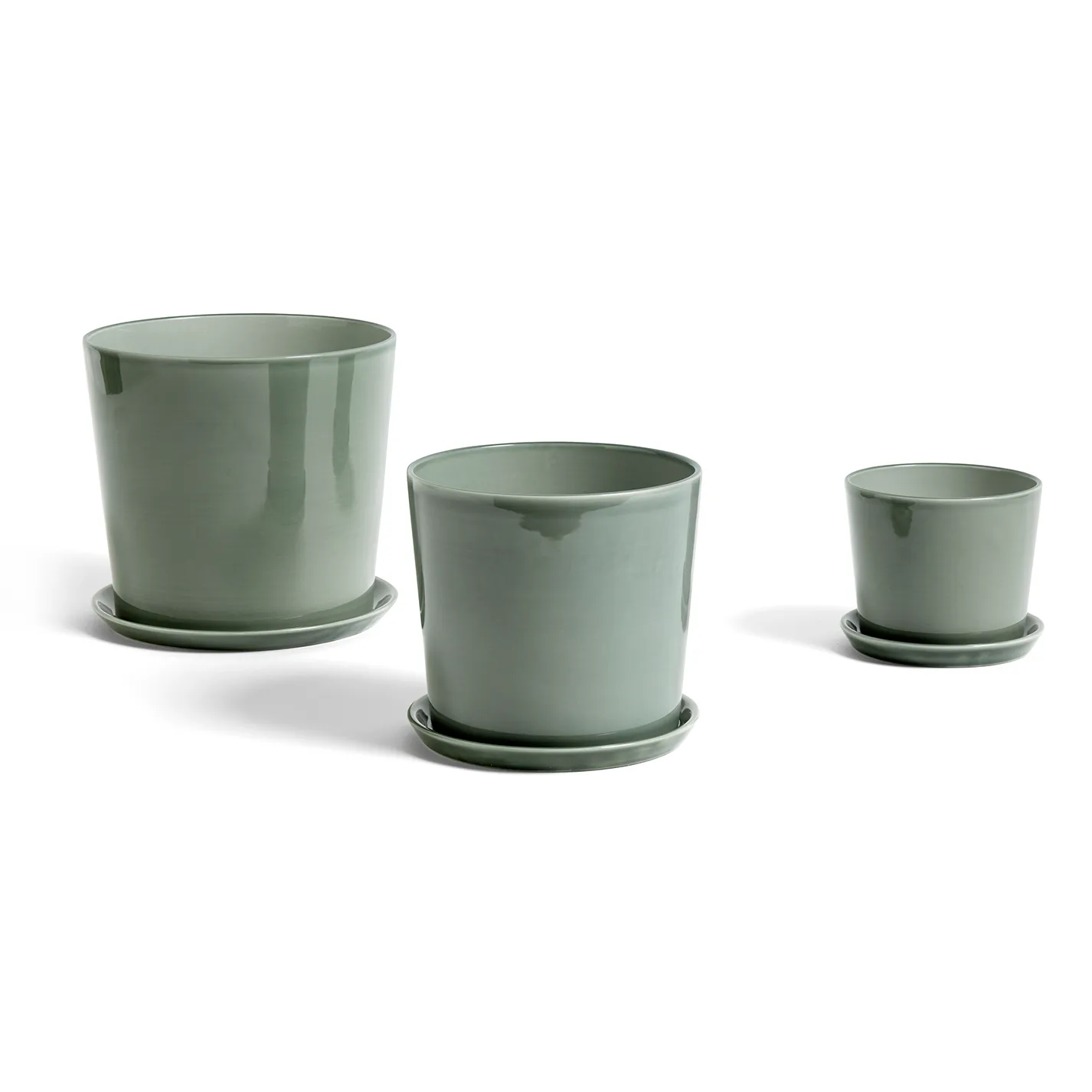 Botanical Family -ruukun aluslautanen L, Dusty green HAY