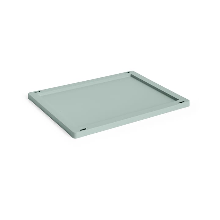 Colour Crate kansi plastic medium - Sage green - HAY