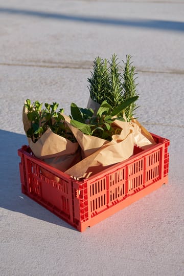 Colour Crate M 26,5 x 34,5 cm - Red - HAY