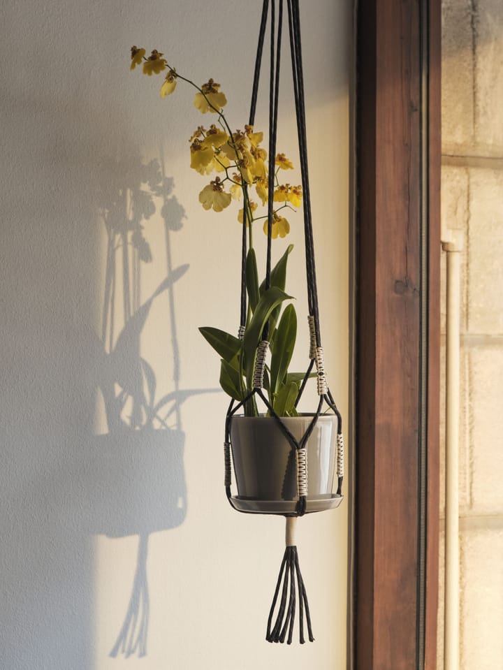 Phanta plant hanger ampel, Musta HAY