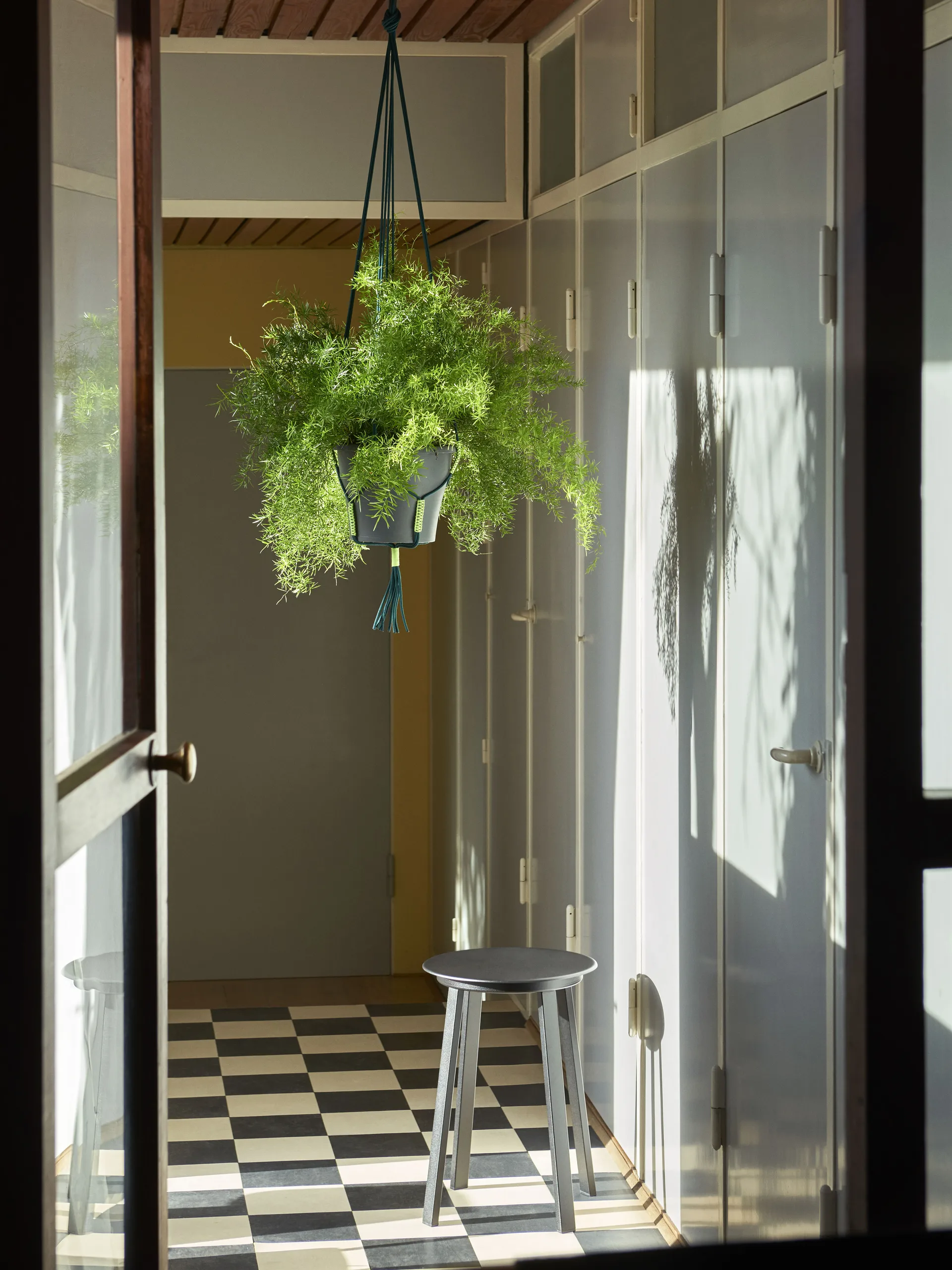 Phanta plant hanger ampel, Vihreä HAY