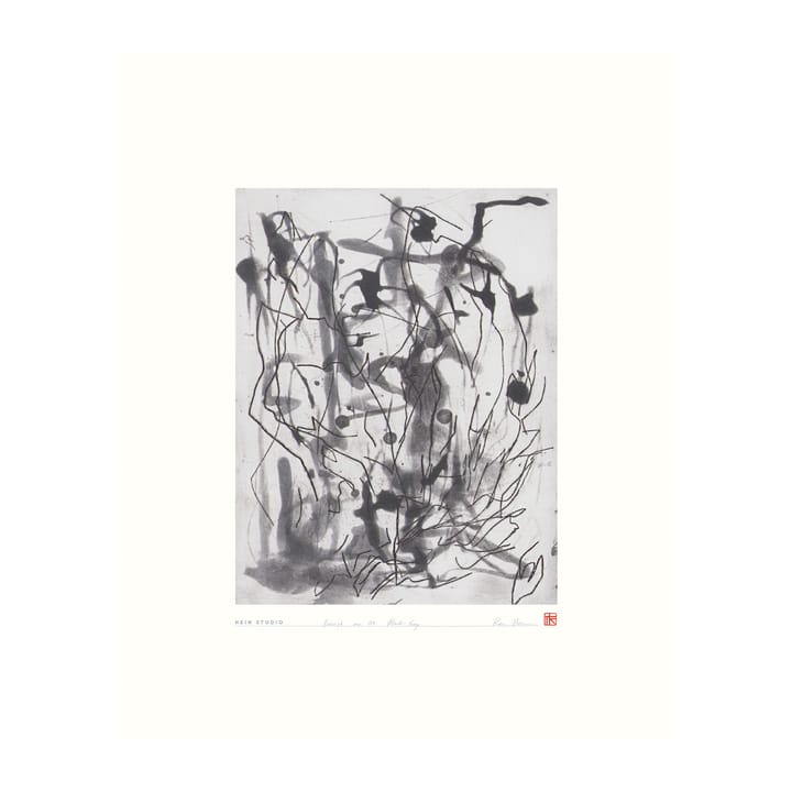 Forrest juliste 40 x 50 cm, Nro 01 Hein Studio