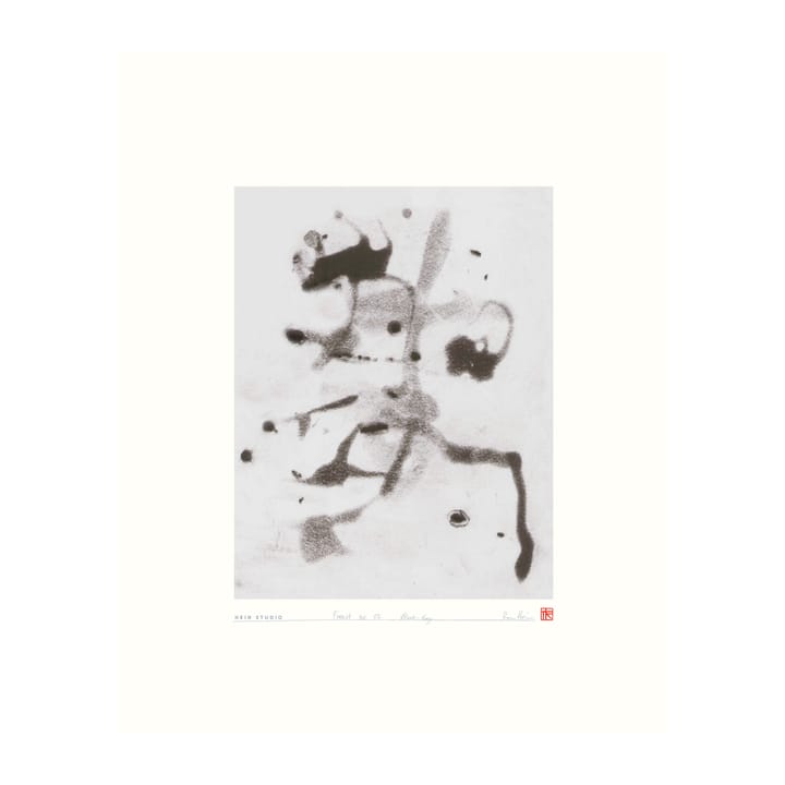 Forrest juliste 40 x 50 cm, Nro 02 Hein Studio
